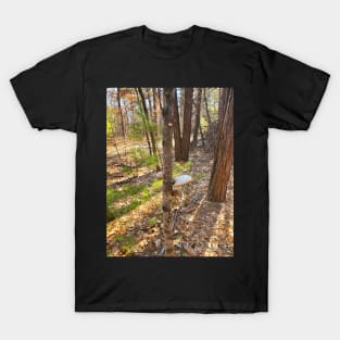 Tree Shrooms T-Shirt